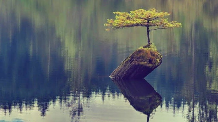 Reflective Workshop on Hoping, Coping and Resisting